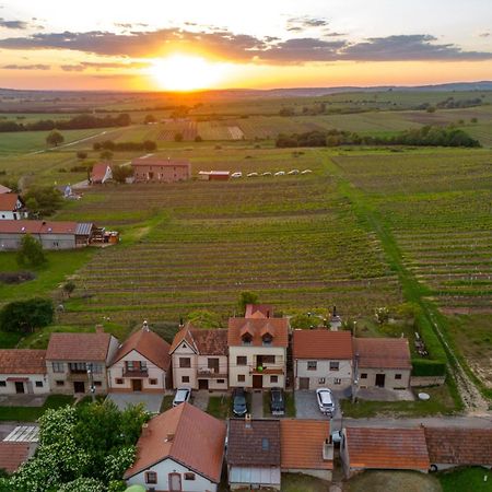 Vinny Sklep Monty Velké Bílovice Exterior foto